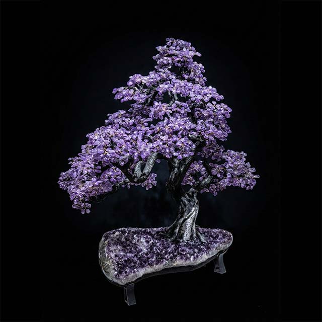 amethyst big tree1